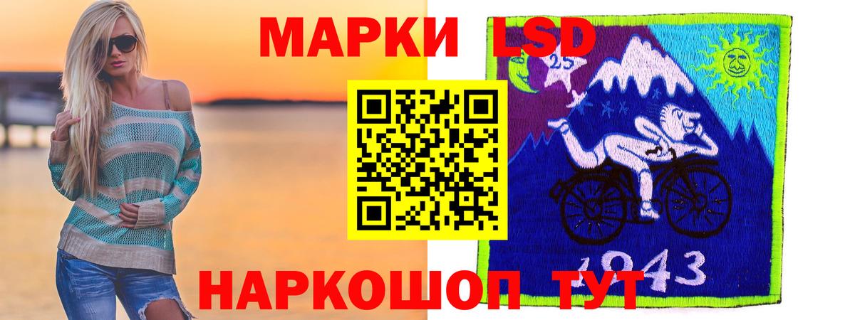 МЕФ Луга