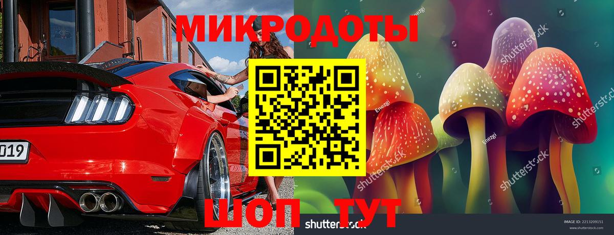 Псилоцибиновые грибы прущие грибы Луга